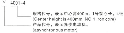 西安泰富西玛Y系列(H355-1000)高压YJTG-355L2-6A/250KW三相异步电机型号说明