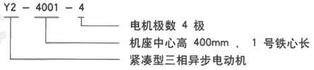 YR系列(H355-1000)高压YJTG-355L2-6A/250KW三相异步电机西安西玛电机型号说明